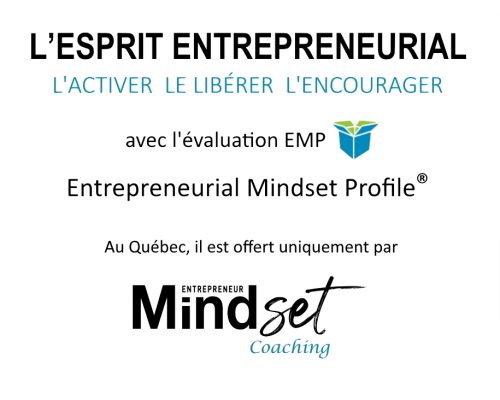Mindset entrepreneur coaching emp
